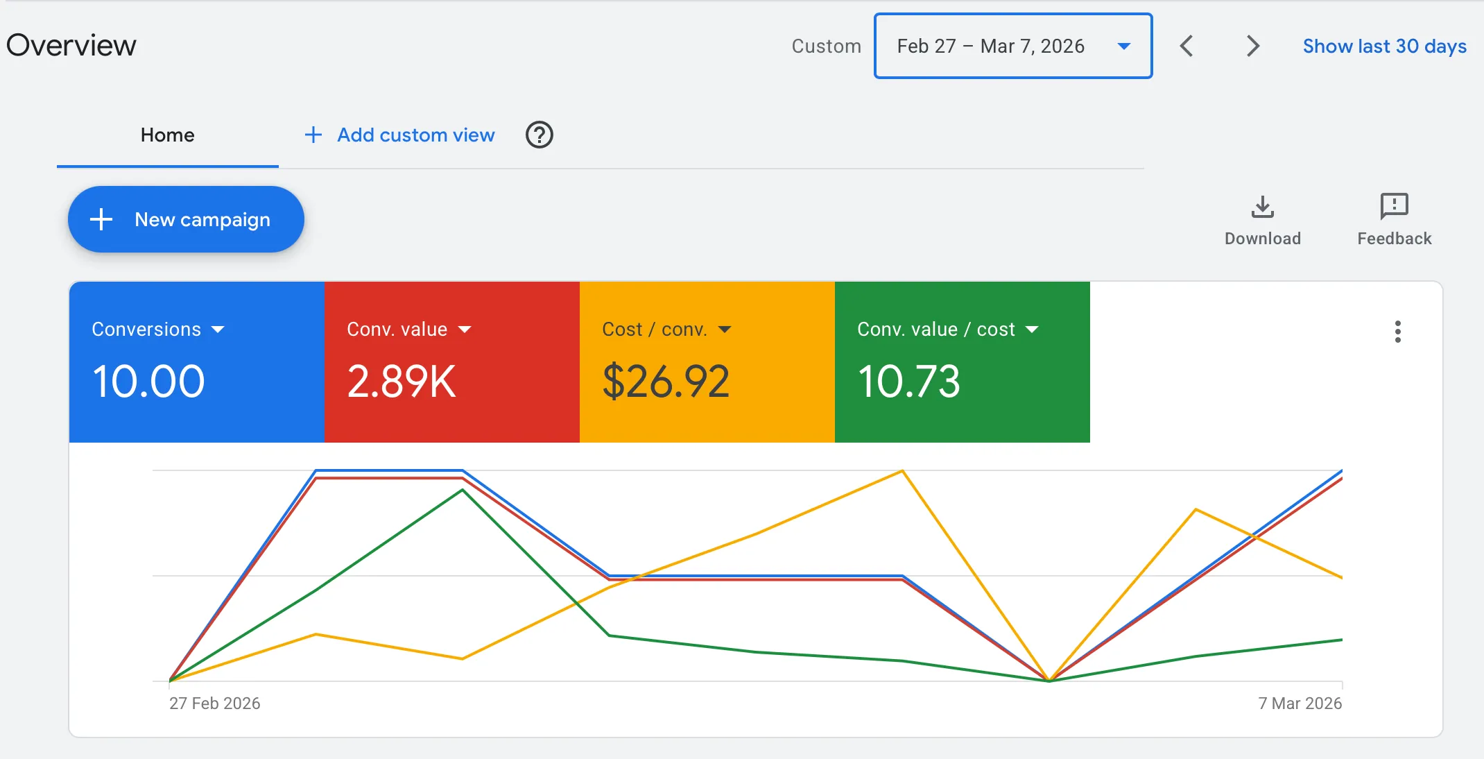 Google Ads overview — account performance after the restructure.