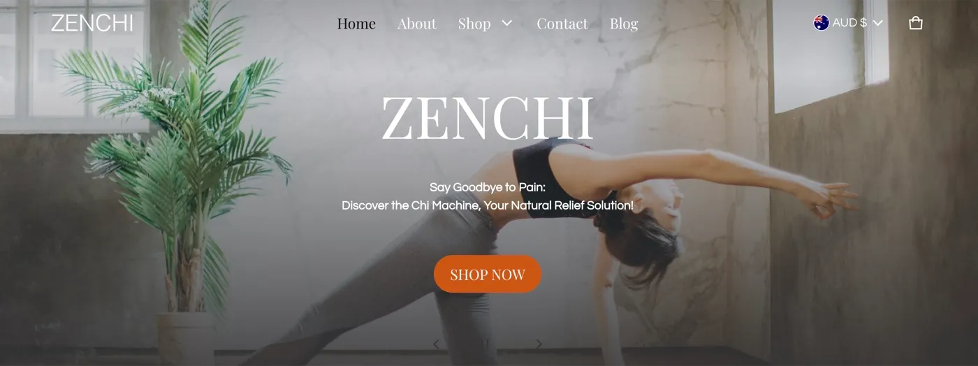 Zenchi ecommerce website